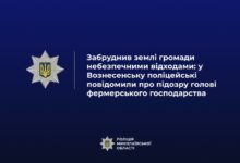 Земельна ділянка сільськогосподарського призначення у Вознесенській громаді