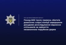Поліцейські вилучили деревину та автомобілі після незаконної порубки лісу на Миколаївщині