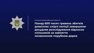 Поліцейські вилучили деревину та автомобілі після незаконної порубки лісу на Миколаївщині