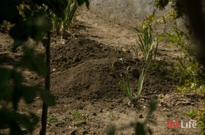 Лічені секунди врятували маму й доньку дрон рознес їхній будинок і вбив тварин: оголошено збір-допомога