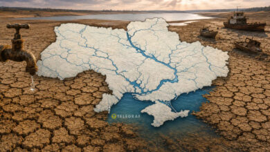 Колаж "Телеграф"