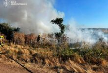 Рятувальники ліквідують пожежі на відкритих територіях Миколаївщини