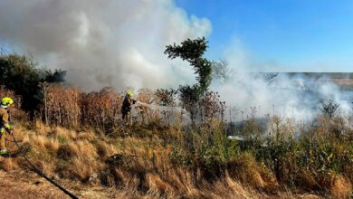 Рятувальники ліквідують пожежі на відкритих територіях Миколаївщини