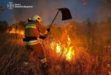 Пожежа пожнивних залишків і чагарників у приватному дворі в Олександрівці
