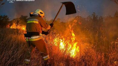 Пожежа пожнивних залишків і чагарників у приватному дворі в Олександрівці