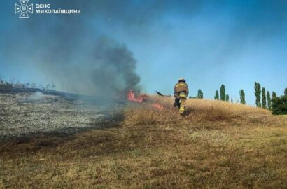 Пожежа пожнивних залишків і чагарників у приватному дворі в Олександрівці