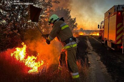 Пожежа пожнивних залишків і чагарників у приватному дворі в Олександрівці