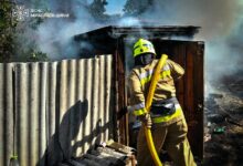 Рятувальники ліквідовують пожежі на Миколаївщині після атак і займань сухостою