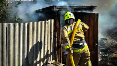 Рятувальники ліквідовують пожежі на Миколаївщині після атак і займань сухостою