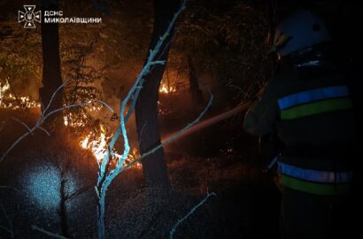 Рятувальники ліквідовують пожежі на Миколаївщині після атак і займань сухостою