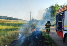 Пожежі господарчих споруд, автомобіля та сухостою на Миколаївщині