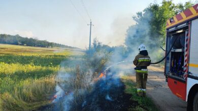 Пожежі господарчих споруд, автомобіля та сухостою на Миколаївщині