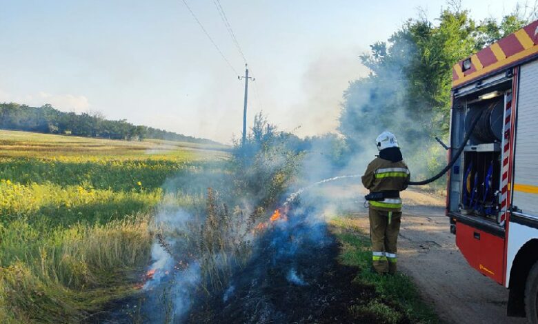 Пожежі господарчих споруд, автомобіля та сухостою на Миколаївщині