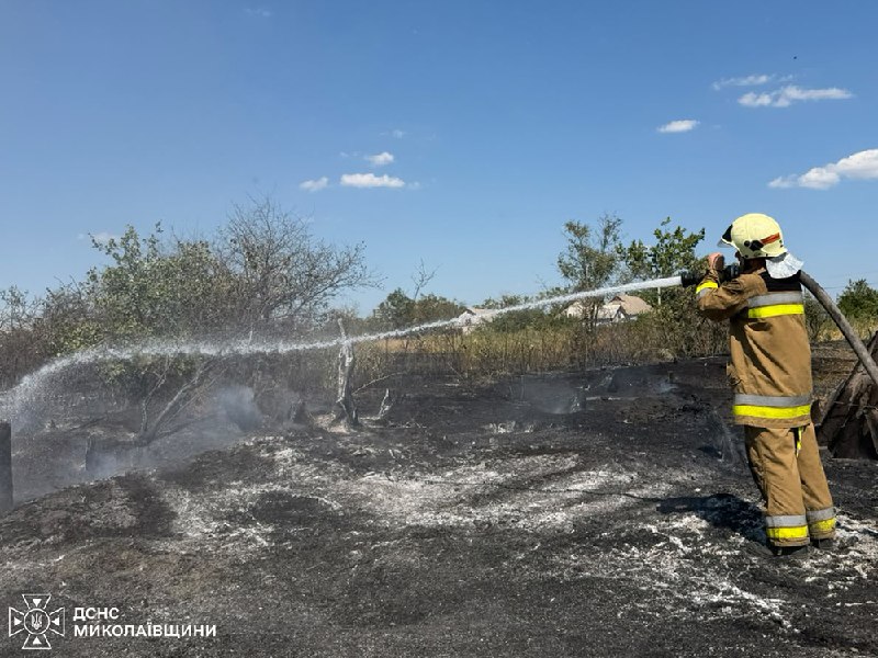 Пожежі господарчих споруд, автомобіля та сухостою на Миколаївщині