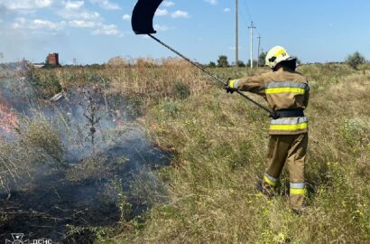 Пожежі господарчих споруд, автомобіля та сухостою на Миколаївщині