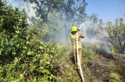 Пожежа в кімнаті квартири десятиповерхівки у Миколаєві