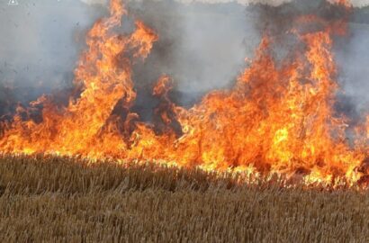 Пожежа в кімнаті квартири десятиповерхівки у Миколаєві