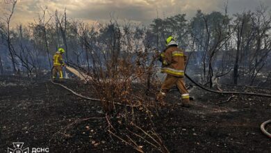 Ілюстративне зображення пожежі, яку ліквідовують рятувальники на Миколаївщині