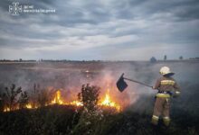Рятувальники гасять пожежу на Миколаївщині