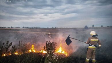 Рятувальники гасять пожежу на Миколаївщині