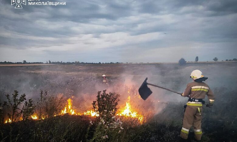 Рятувальники гасять пожежу на Миколаївщині