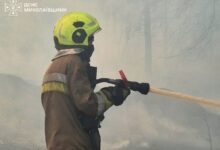 Пожежа сухостою, чагарників і дерев у Миколаєві