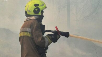 Пожежа сухостою, чагарників і дерев у Миколаєві