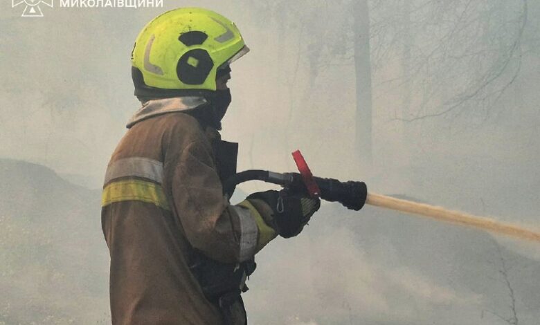 Пожежа сухостою, чагарників і дерев у Миколаєві