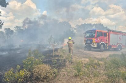 Пожежа сухостою, чагарників і дерев у Миколаєві
