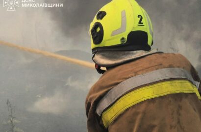 Пожежа сухостою, чагарників і дерев у Миколаєві