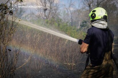 Пожежа сухої трави, чагарників і дерев у Миколаєві, ілюстративне зображення