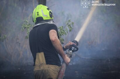 Пожежа сухої трави, чагарників і дерев у Миколаєві, ілюстративне зображення