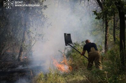 Пожежа сухої трави, чагарників і дерев у Миколаєві, ілюстративне зображення