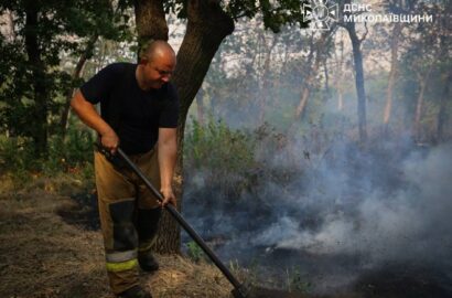 Пожежа сухої трави, чагарників і дерев у Миколаєві, ілюстративне зображення