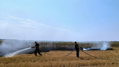 Ілюстративне зображення пожеж на Миколаївщині