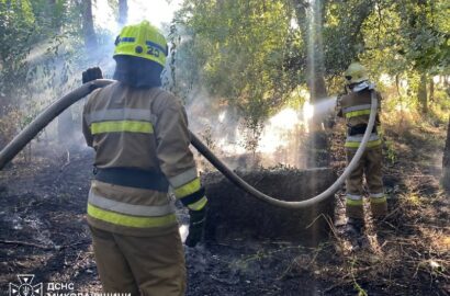 Ілюстративне зображення пожеж на Миколаївщині