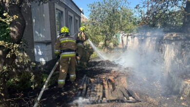 Пожежі на Миколаївщині після бойових дій та займань сухої трави