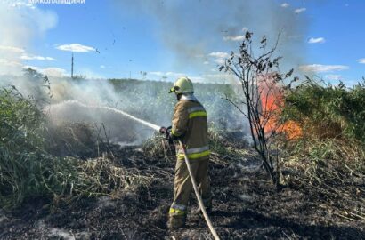 Пожежі на Миколаївщині після бойових дій та займань сухої трави