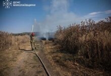 Пожежі в екосистемах та на об’єктах Миколаївщини