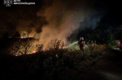 Пожежі в екосистемах та на об’єктах Миколаївщини
