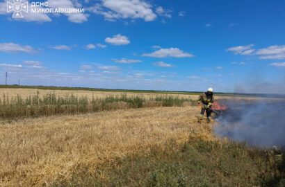 Пожежі в екосистемах та на об’єктах Миколаївщини
