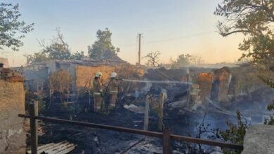 Пожежі на Миколаївщині, які ліквідовували рятувальники ДСНС