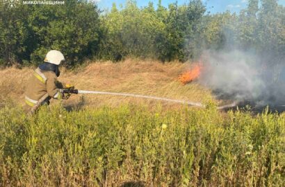 Пожежі на Миколаївщині, які ліквідовували рятувальники ДСНС