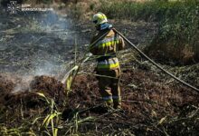 Ілюстративне зображення пожежі на Миколаївщині