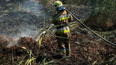 Ілюстративне зображення пожежі на Миколаївщині