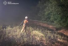 Пожежа сухої рослинності та господарчих споруд на Миколаївщині