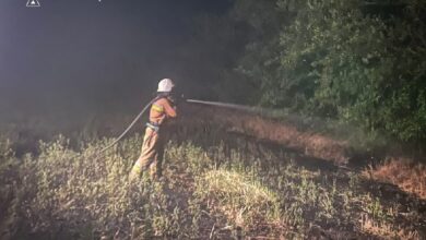 Пожежа сухої рослинності та господарчих споруд на Миколаївщині