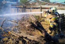 Наслідки пожеж на Миколаївщині після атак та займання відкритих територій
