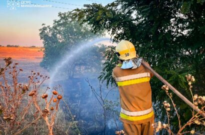 Наслідки пожеж на Миколаївщині після атак та займання відкритих територій
