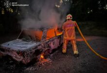 Гасіння пожежі на території Миколаївської області